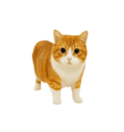 くるくる回る猫（個別スタンプ：1）