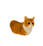 くるくる回る猫（個別スタンプ：2）