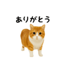くるくる回る猫（個別スタンプ：8）