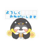 【夏】ペンギン！パーカー動物（個別スタンプ：11）