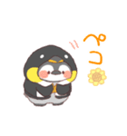 【夏】ペンギン！パーカー動物（個別スタンプ：12）
