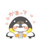 【夏】ペンギン！パーカー動物（個別スタンプ：35）