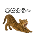 八重山諸島の仲間達（個別スタンプ：1）