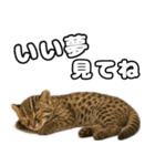 八重山諸島の仲間達（個別スタンプ：7）