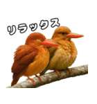 八重山諸島の仲間達（個別スタンプ：9）