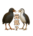 八重山諸島の仲間達（個別スタンプ：11）