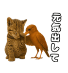 八重山諸島の仲間達（個別スタンプ：12）