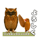 八重山諸島の仲間達（個別スタンプ：15）