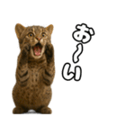 八重山諸島の仲間達（個別スタンプ：28）