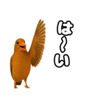 八重山諸島の仲間達（個別スタンプ：31）