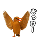 八重山諸島の仲間達（個別スタンプ：32）