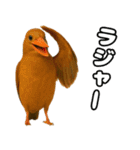 八重山諸島の仲間達（個別スタンプ：33）