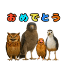 八重山諸島の仲間達（個別スタンプ：36）