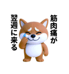 更年期柴犬（個別スタンプ：1）
