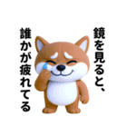 更年期柴犬（個別スタンプ：4）