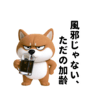 更年期柴犬（個別スタンプ：8）