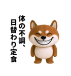 更年期柴犬（個別スタンプ：10）
