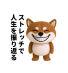 更年期柴犬（個別スタンプ：12）