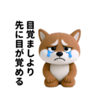 更年期柴犬（個別スタンプ：26）