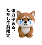 更年期柴犬（個別スタンプ：27）