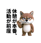 更年期柴犬（個別スタンプ：30）
