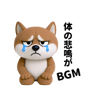 更年期柴犬（個別スタンプ：34）