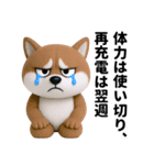 更年期柴犬（個別スタンプ：36）