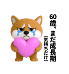 更年期柴犬（個別スタンプ：39）