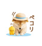 ▶動く癒し柴犬の「夏」の毎日（個別スタンプ：3）