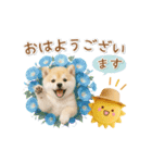 ▶動く癒し柴犬の「夏」の毎日（個別スタンプ：5）