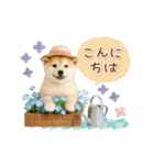 ▶動く癒し柴犬の「夏」の毎日（個別スタンプ：6）