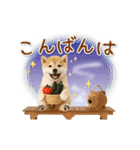 ▶動く癒し柴犬の「夏」の毎日（個別スタンプ：7）