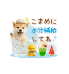 ▶動く癒し柴犬の「夏」の毎日（個別スタンプ：19）