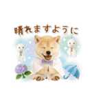 ▶動く癒し柴犬の「夏」の毎日（個別スタンプ：22）