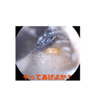 耳の冒険（ウェットタイプ）（個別スタンプ：6）