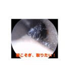 耳の冒険（ウェットタイプ）（個別スタンプ：7）