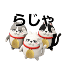 デカ動く 3D三匹の擦れねこ2（個別スタンプ：2）