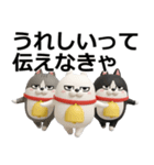 デカ動く 3D三匹の擦れねこ2（個別スタンプ：16）