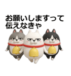 デカ動く 3D三匹の擦れねこ2（個別スタンプ：17）