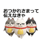 デカ動く 3D三匹の擦れねこ2（個別スタンプ：18）