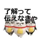 デカ動く 3D三匹の擦れねこ2（個別スタンプ：20）