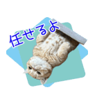 小西家のニコちゃん（個別スタンプ：4）