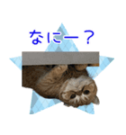 小西家のニコちゃん（個別スタンプ：7）