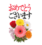 9月 秋の花 大きくて見やすい挨拶スタンプ（個別スタンプ：13）