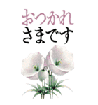 9月 秋の花 大きくて見やすい挨拶スタンプ（個別スタンプ：17）