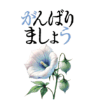 9月 秋の花 大きくて見やすい挨拶スタンプ（個別スタンプ：19）