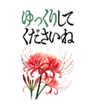9月 秋の花 大きくて見やすい挨拶スタンプ（個別スタンプ：22）