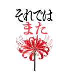 9月 秋の花 大きくて見やすい挨拶スタンプ（個別スタンプ：23）