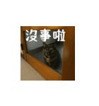 小花達の日常会話スタンプ（台湾華語）（個別スタンプ：5）