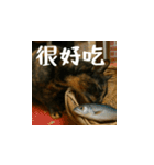 小花達の日常会話スタンプ（台湾華語）（個別スタンプ：6）